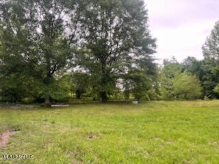 5376 Byhalia Road, Hernando, Mississippi image 9