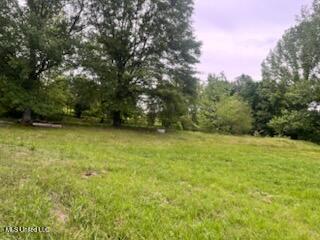 5376 Byhalia Road, Hernando, Mississippi image 7