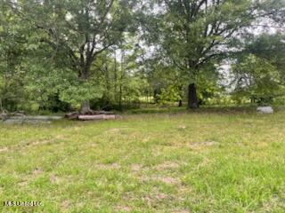 5376 Byhalia Road, Hernando, Mississippi image 20