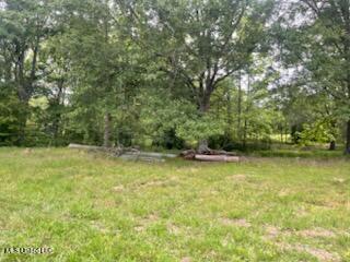 5376 Byhalia Road, Hernando, Mississippi image 18
