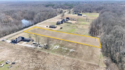 Vacant Land For Sale - Deer Creek<br/> Byhalia, MS 38611