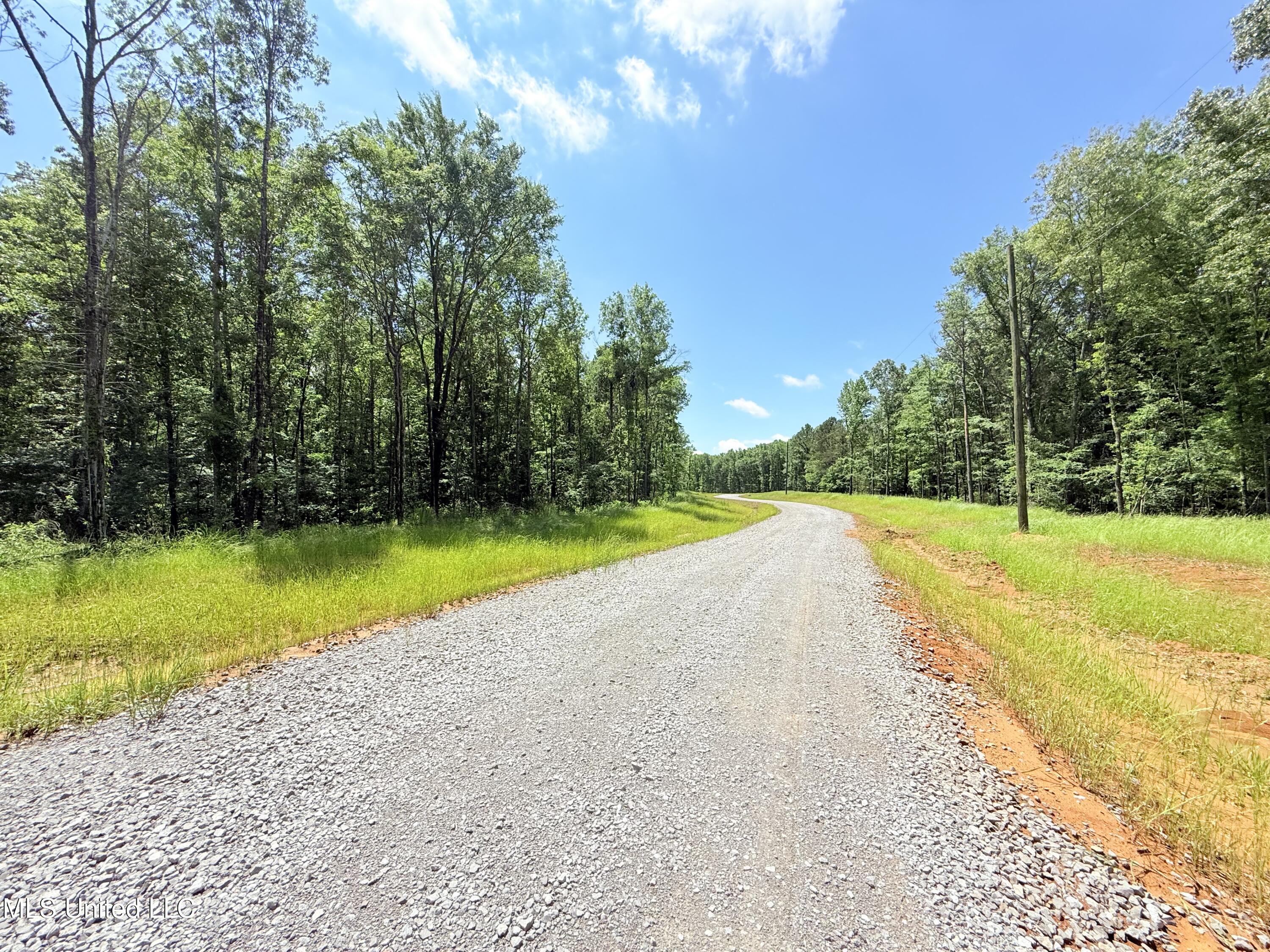 Stout Meadows Lane, Madison, Mississippi image 11