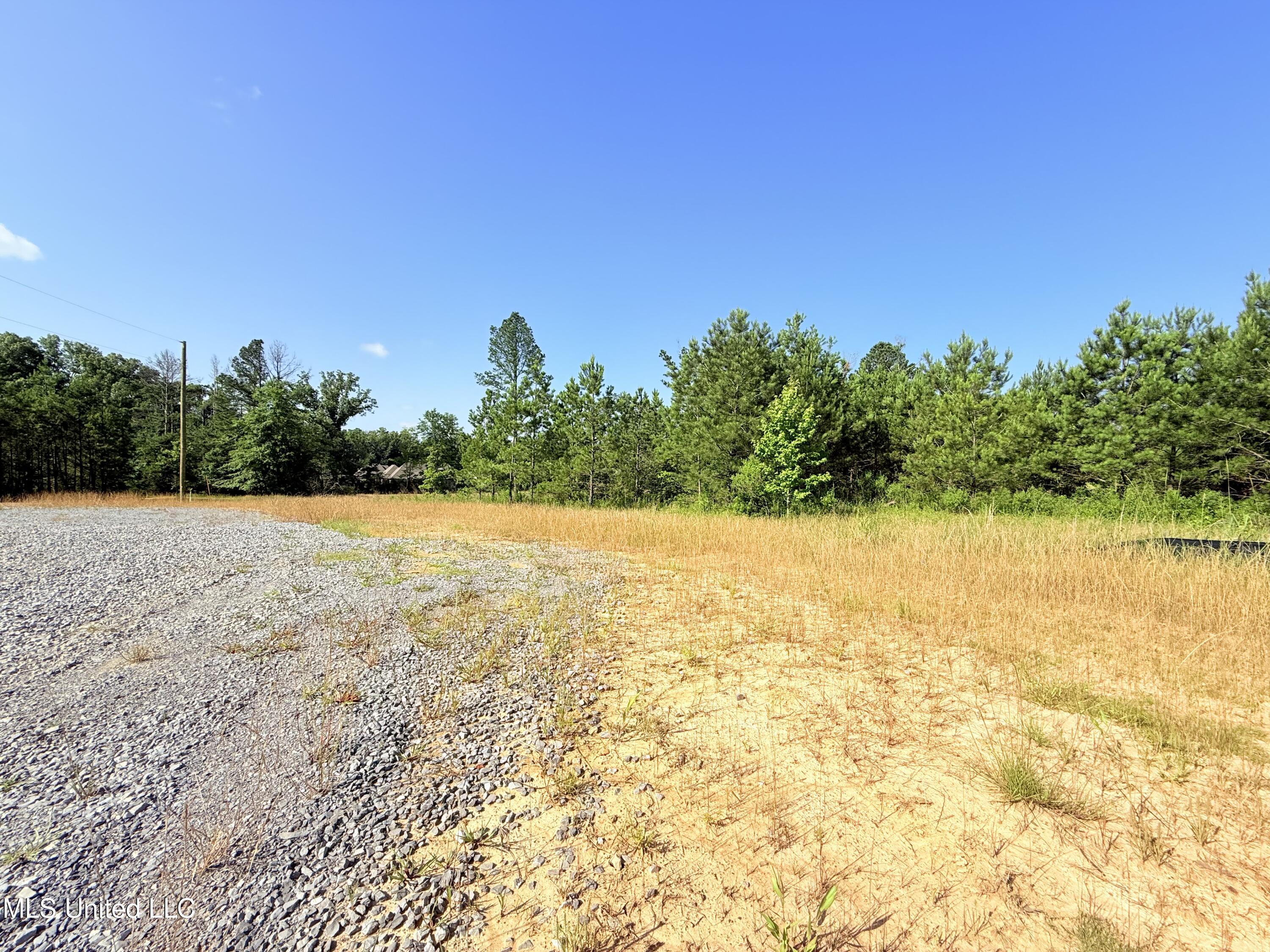 Stout Meadows Lane, Madison, Mississippi image 5