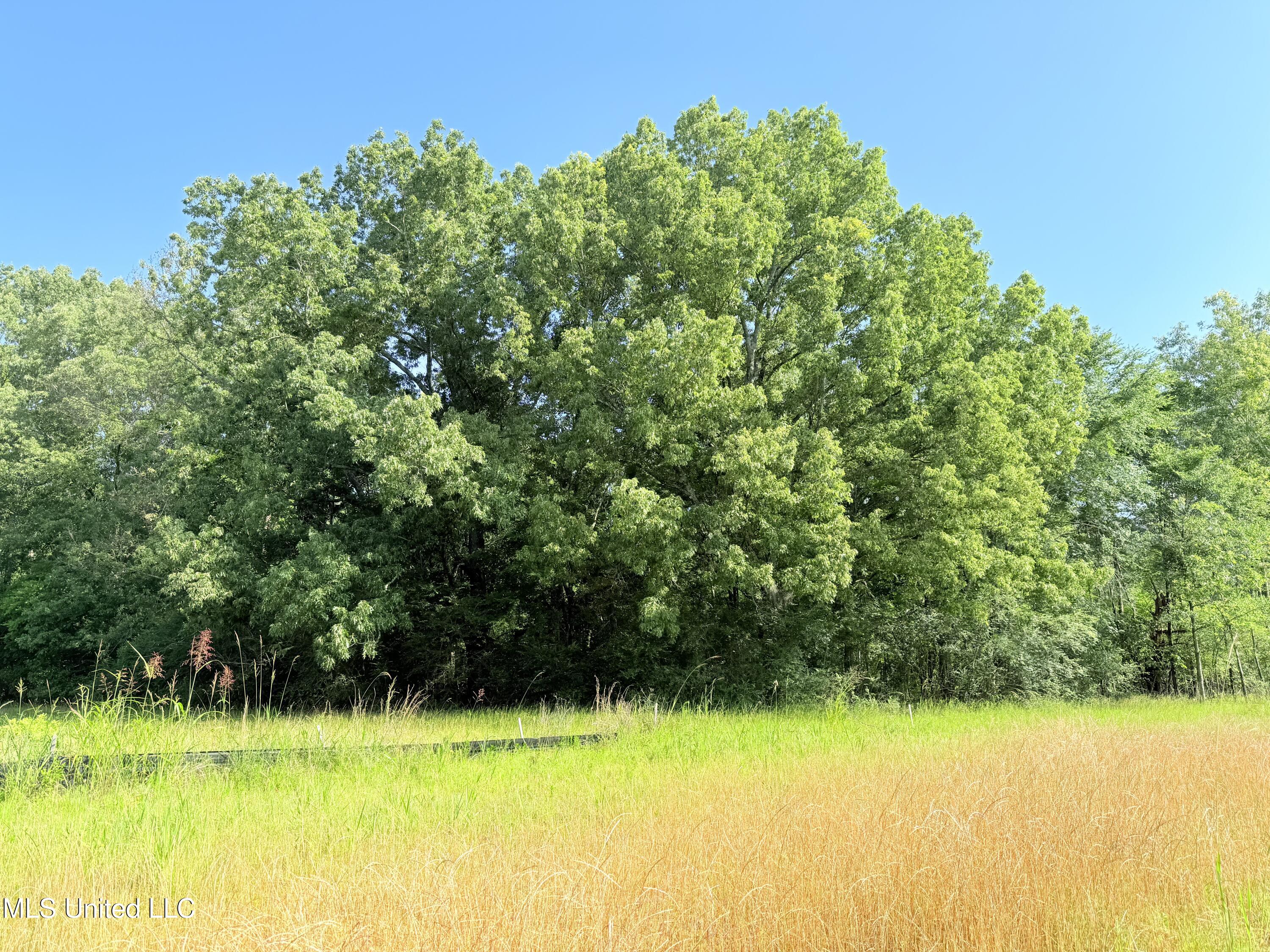 Stout Meadows Lane, Madison, Mississippi image 6