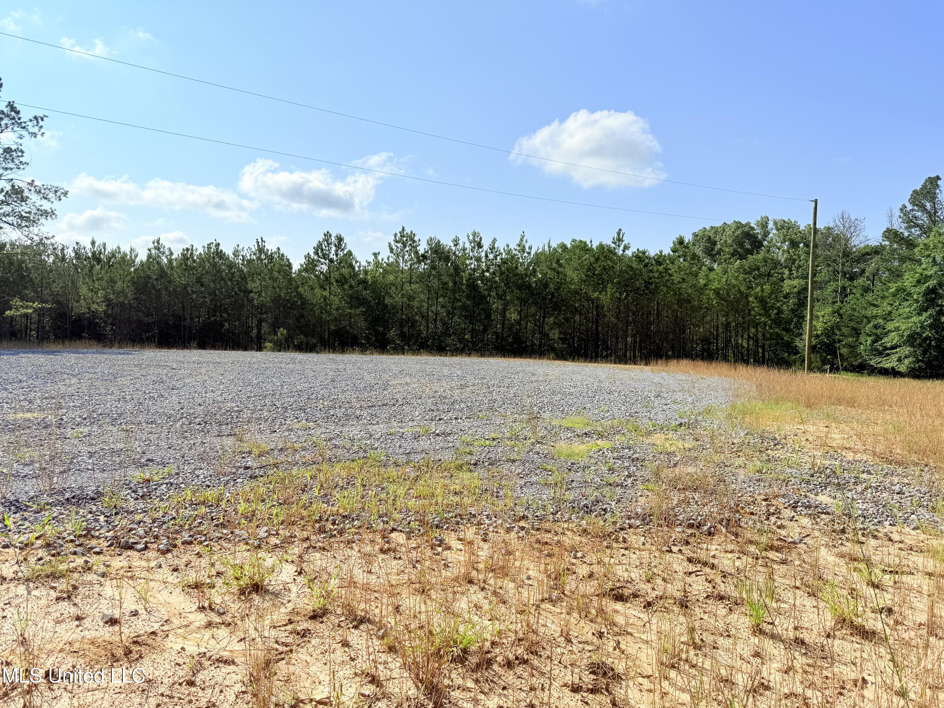 Stout Meadows Lane, Madison, Mississippi image 8