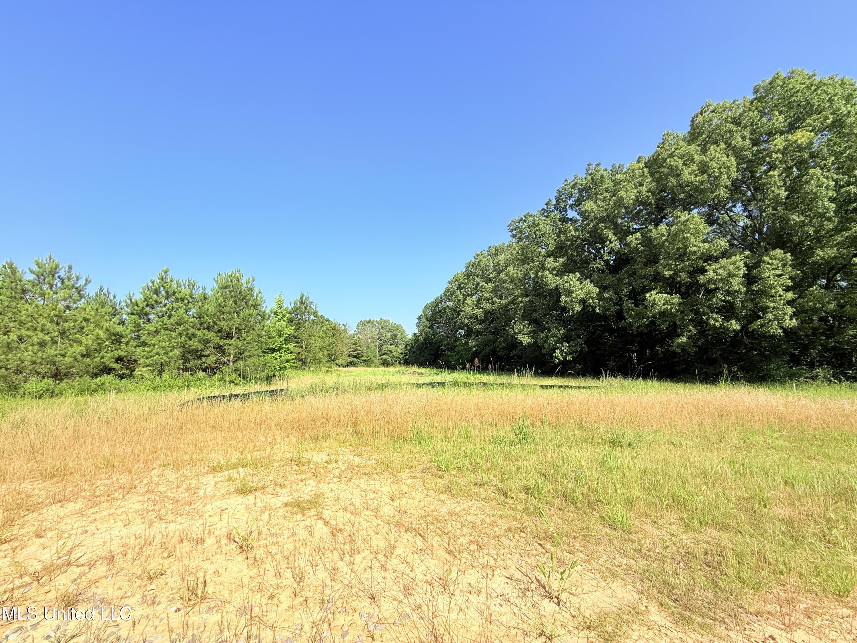 Stout Meadows Lane, Madison, Mississippi image 1