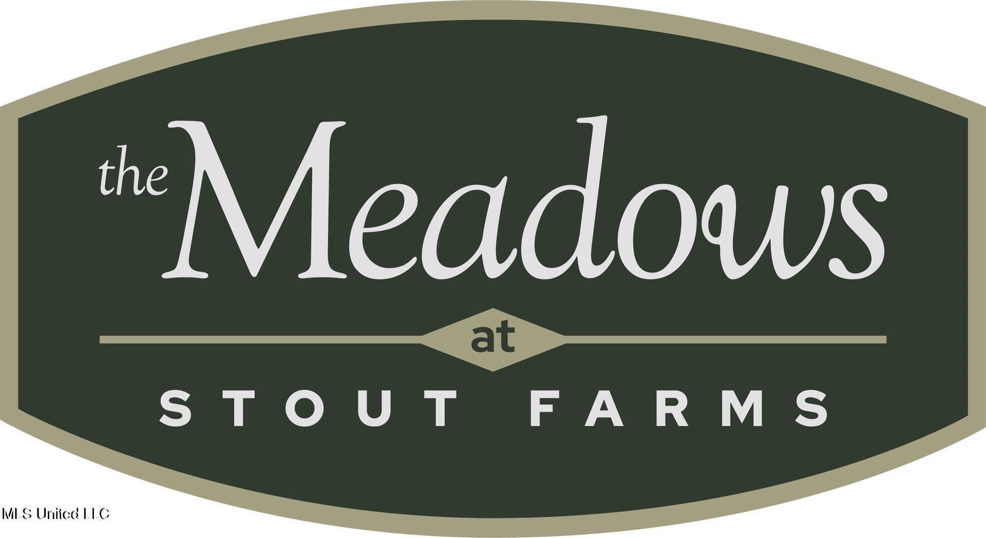 Stout Meadows Lane, Madison, Mississippi image 2