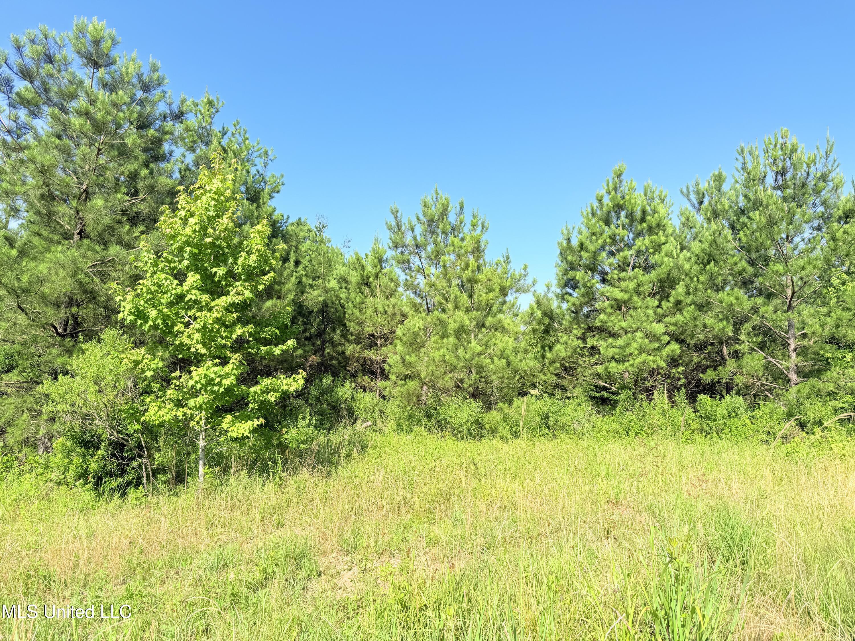 Stout Meadows Lane, Madison, Mississippi image 3
