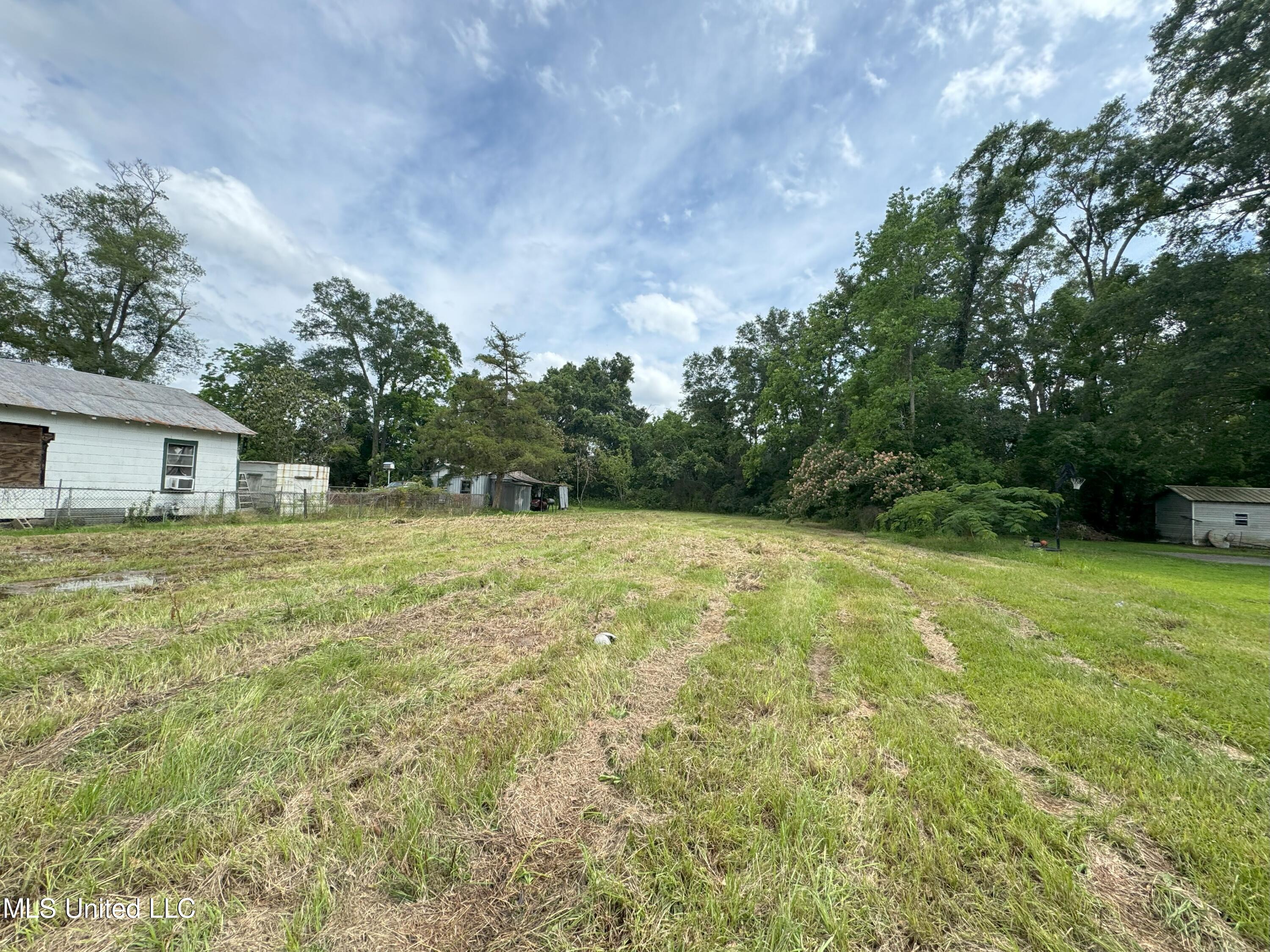 Palestine Road, Picayune, Mississippi image 4