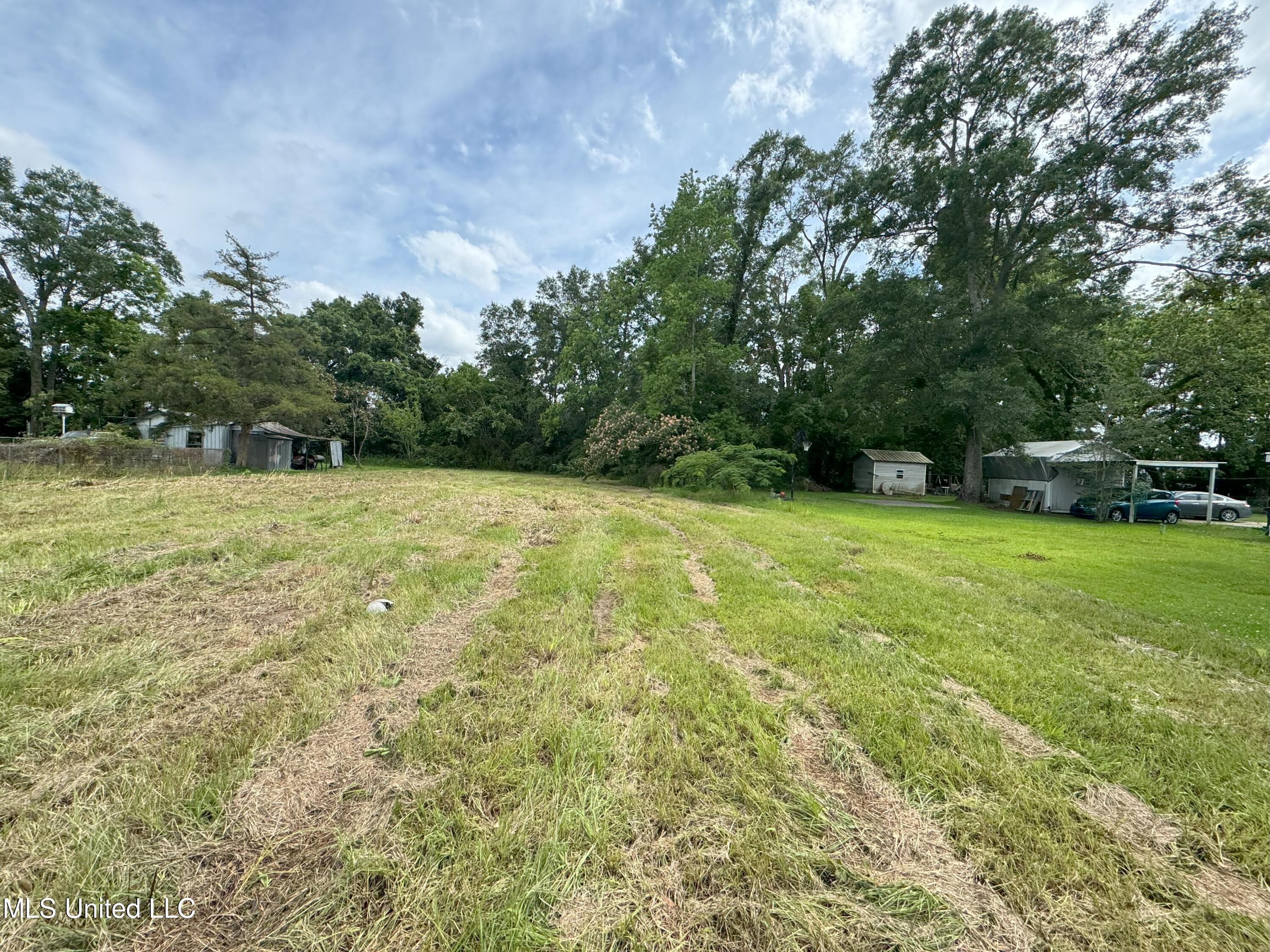 Palestine Road, Picayune, Mississippi image 3