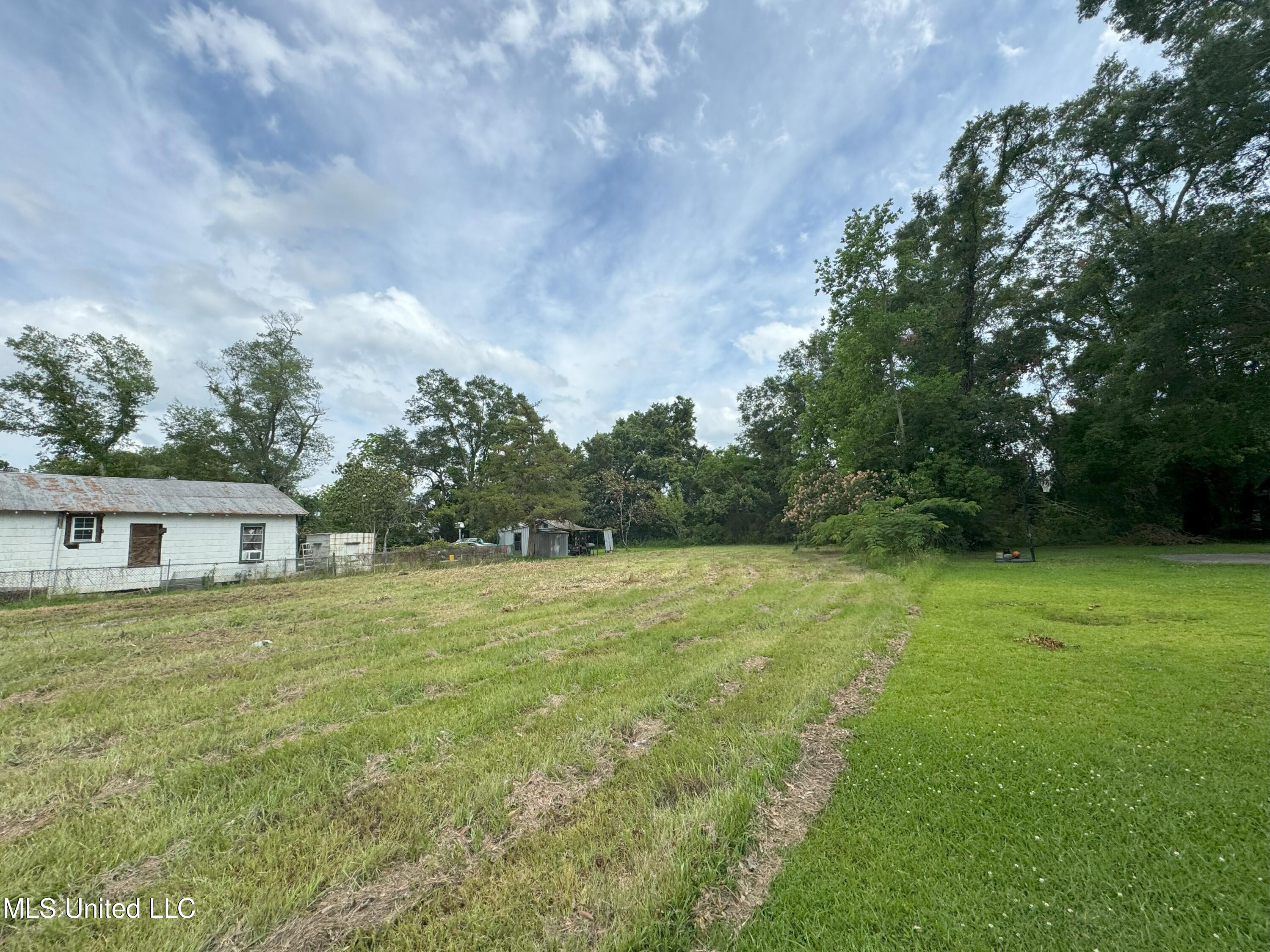 Palestine Road, Picayune, Mississippi image 2