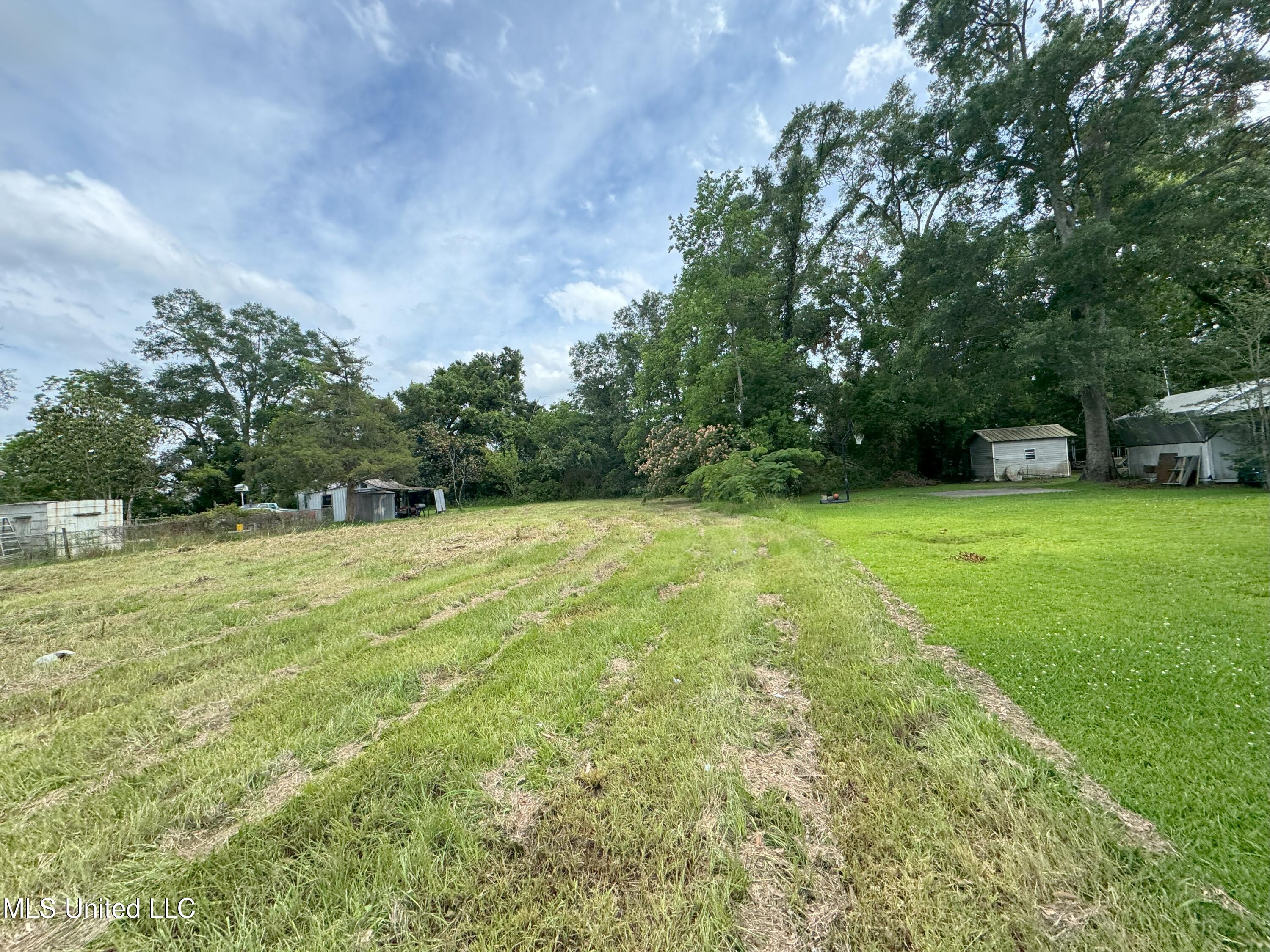 Palestine Road, Picayune, Mississippi image 1