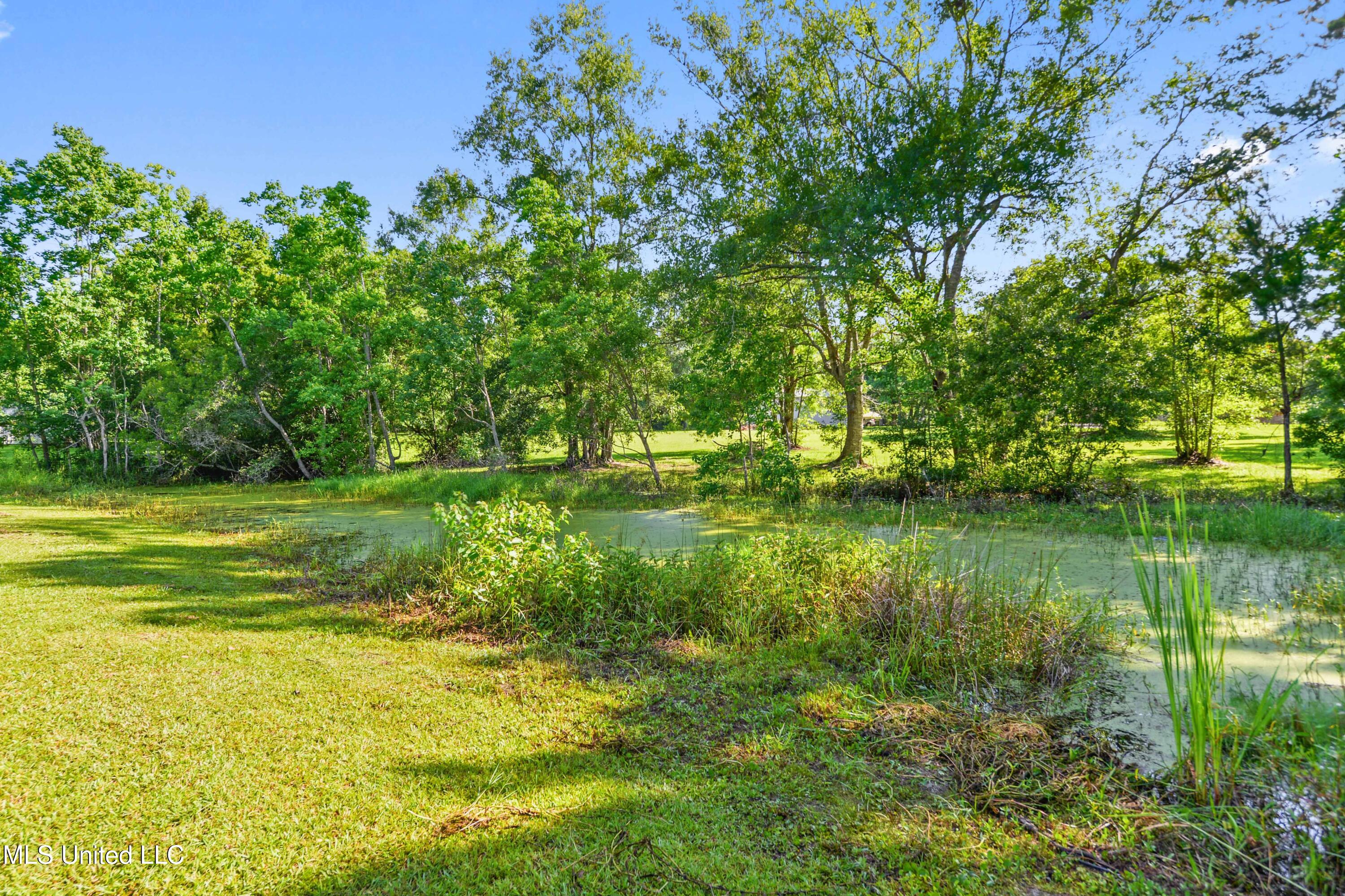 3241 Kings Bridge Road, Moss Point, Mississippi image 25