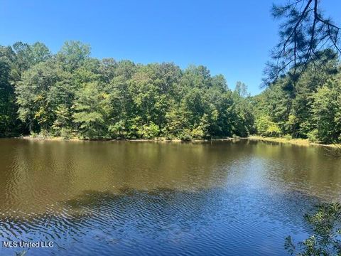 Vacant Land For Sale - Co Road 2428<br/> Jasper County, Enterprise, MS 39330