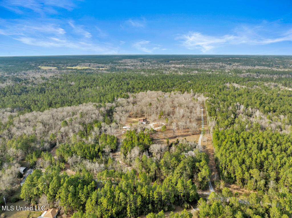 19612 Wilson Drive, Saucier, Mississippi image 37