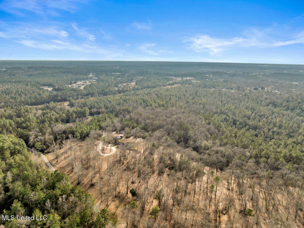 19612 Wilson Drive, Saucier, Mississippi image 36