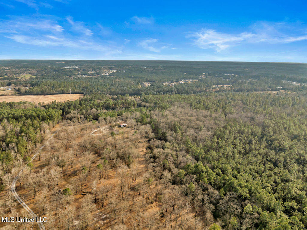 19612 Wilson Drive, Saucier, Mississippi image 39