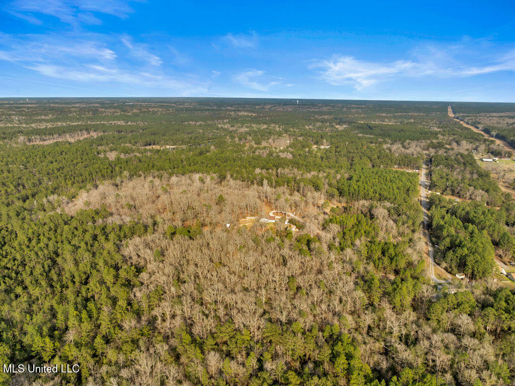 19612 Wilson Drive, Saucier, Mississippi image 40