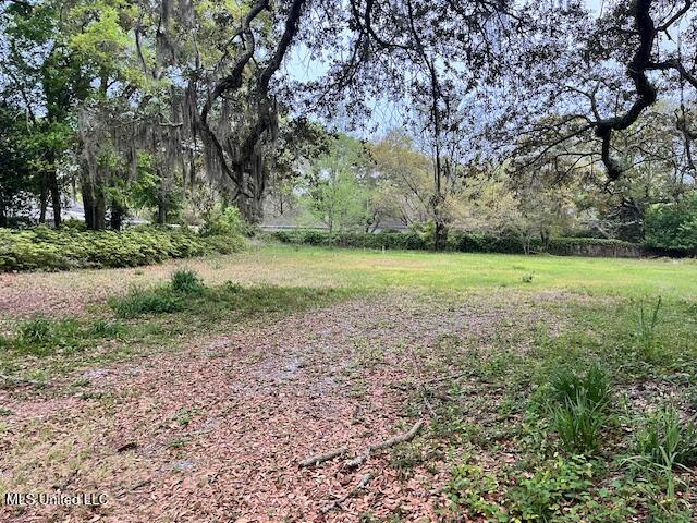 Pine Street, Gulfport, Mississippi image 1