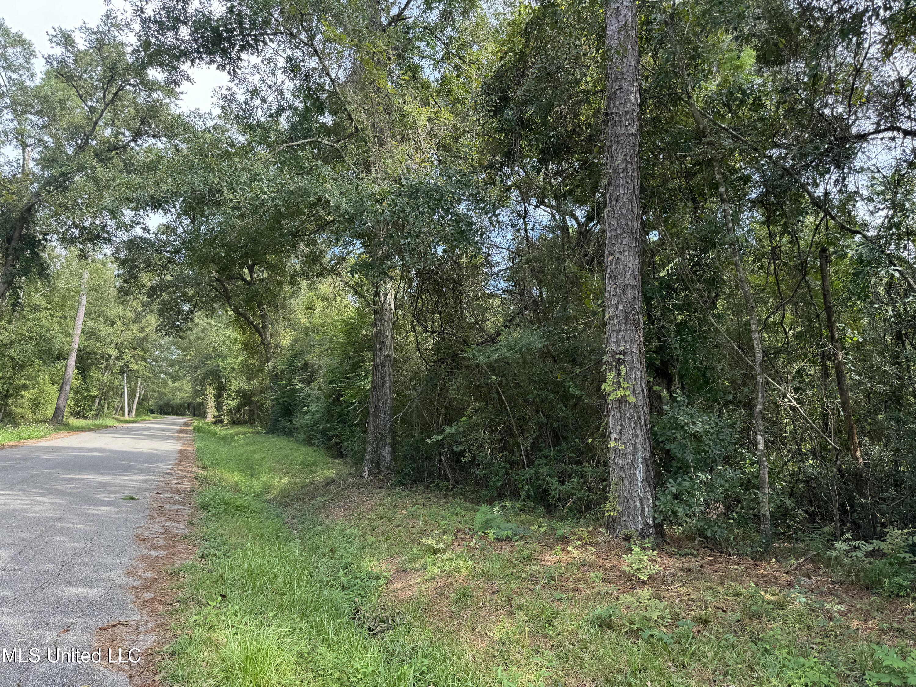 Hwy 604 & 1st Avenue, Pearlington, Mississippi image 8