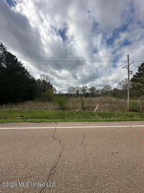 Vacant Land For Sale - U.s. 80<br/> Pelahatchie, MS 39145