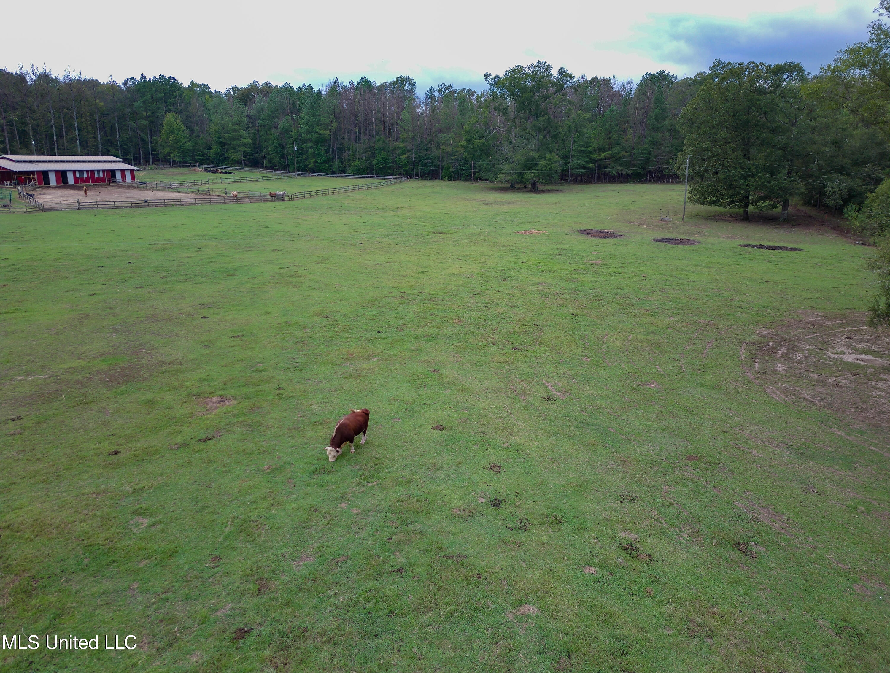 Taylor Way, Brandon, Mississippi image 7