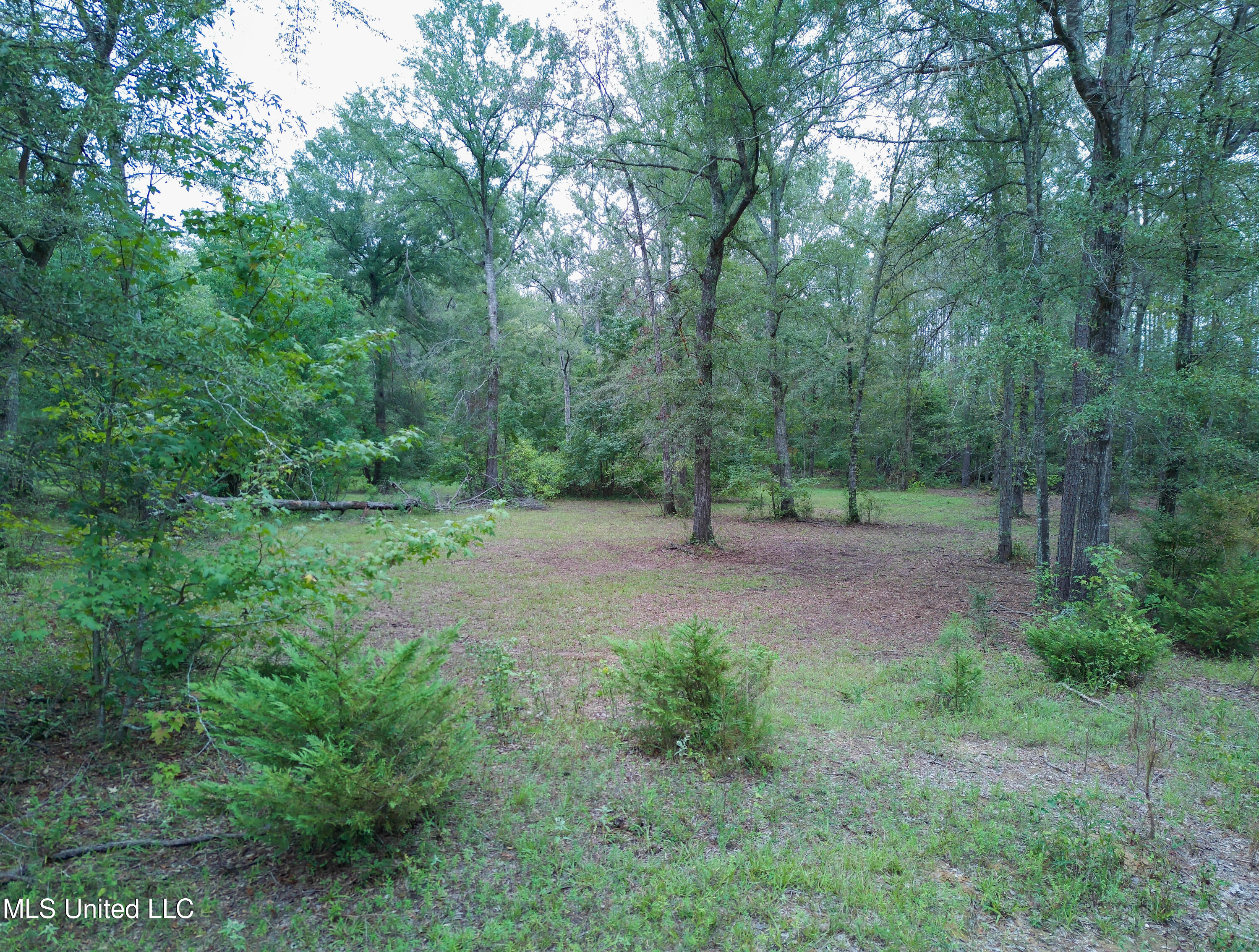 Taylor Way, Brandon, Mississippi image 11