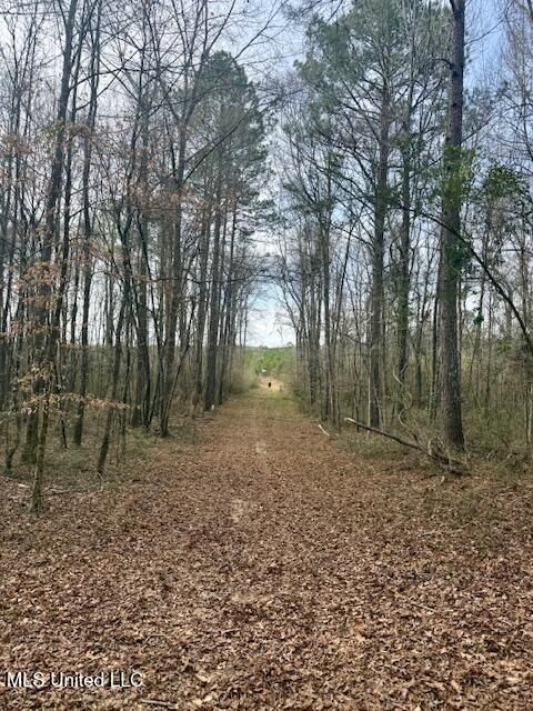Vacant Land For Sale - Beartown Road<br/> Jayess, MS 39641