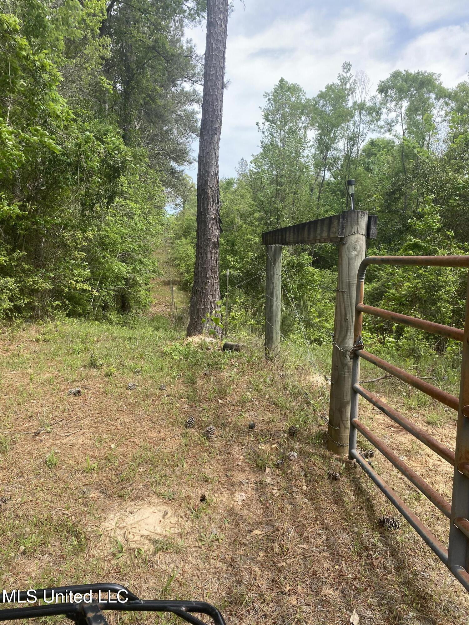 Bryant Lane, Magee, Mississippi image 1