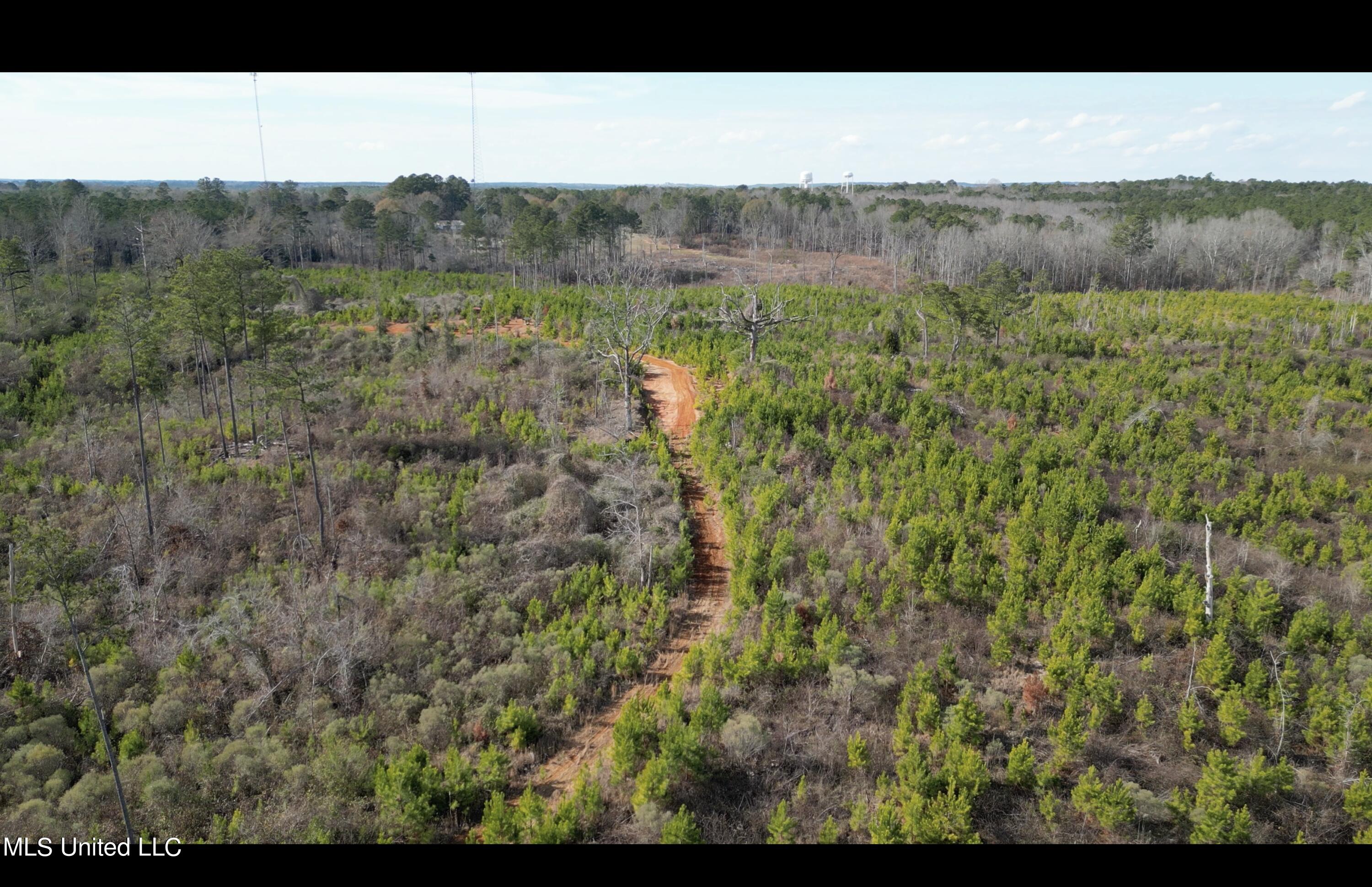 01 Highway 19, Philadelphia, Mississippi image 8