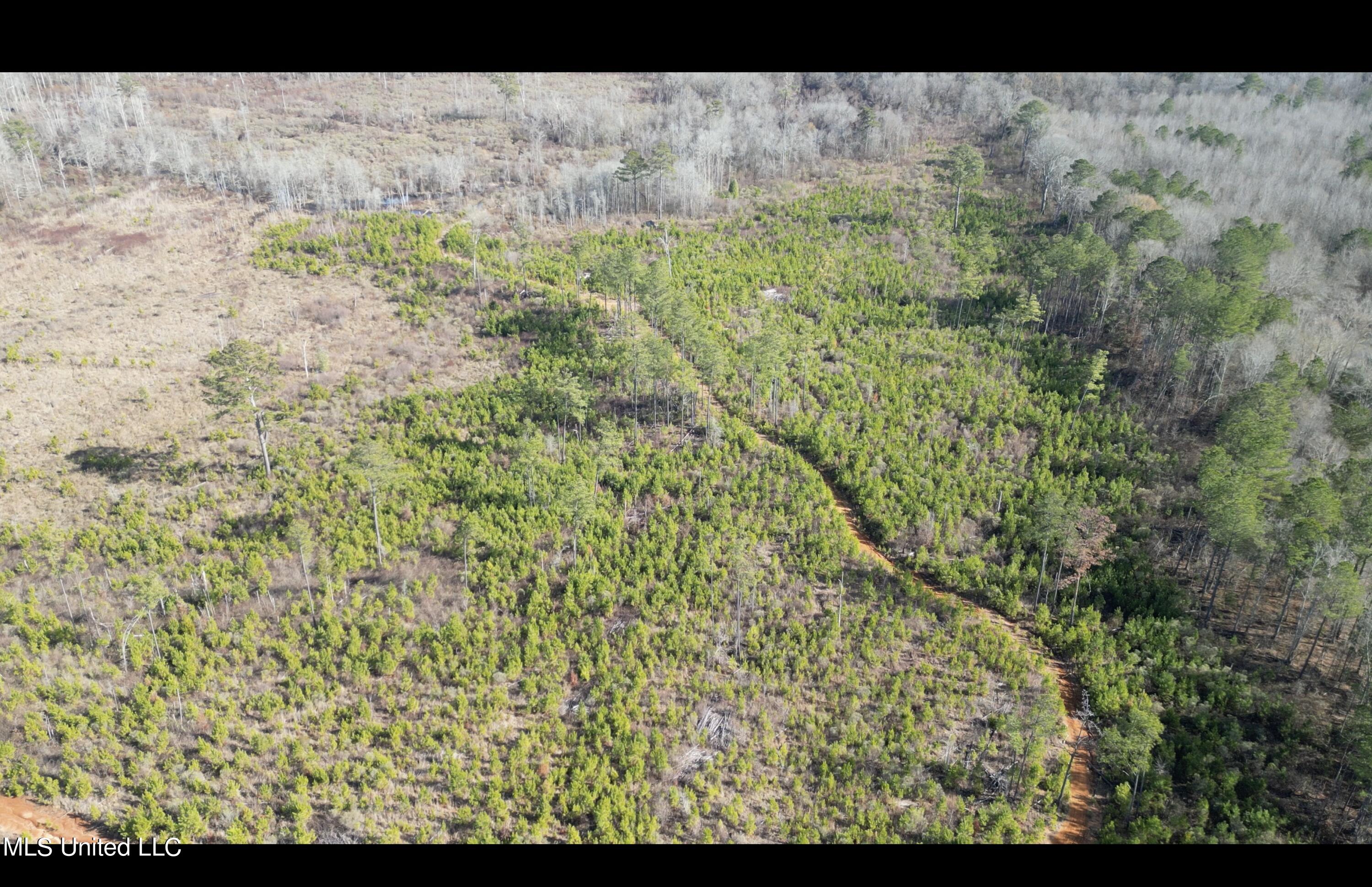 01 Highway 19, Philadelphia, Mississippi image 9