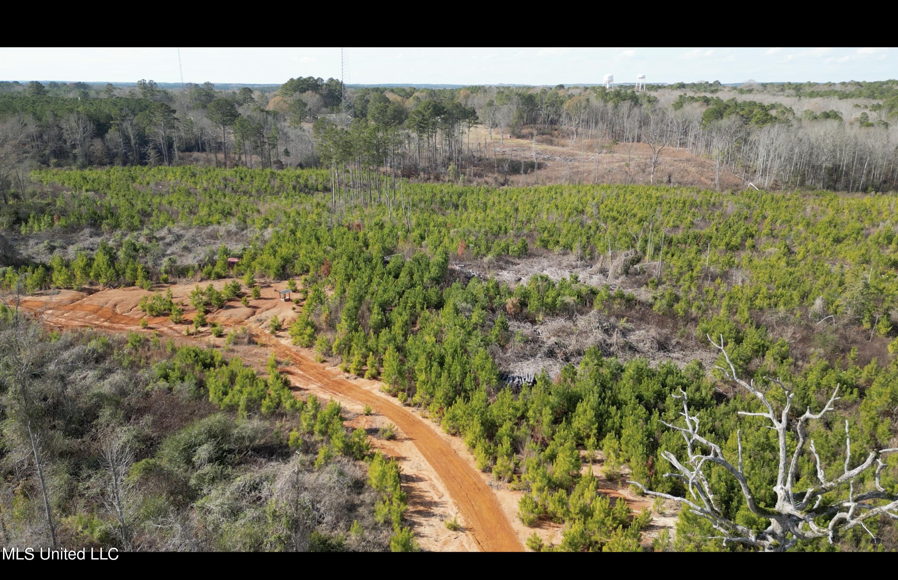 01 Highway 19, Philadelphia, Mississippi image 7