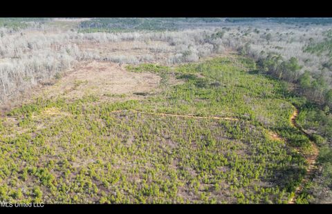 Vacant Land For Sale - 01 Highway 19<br/> Philadelphia, MS 39350