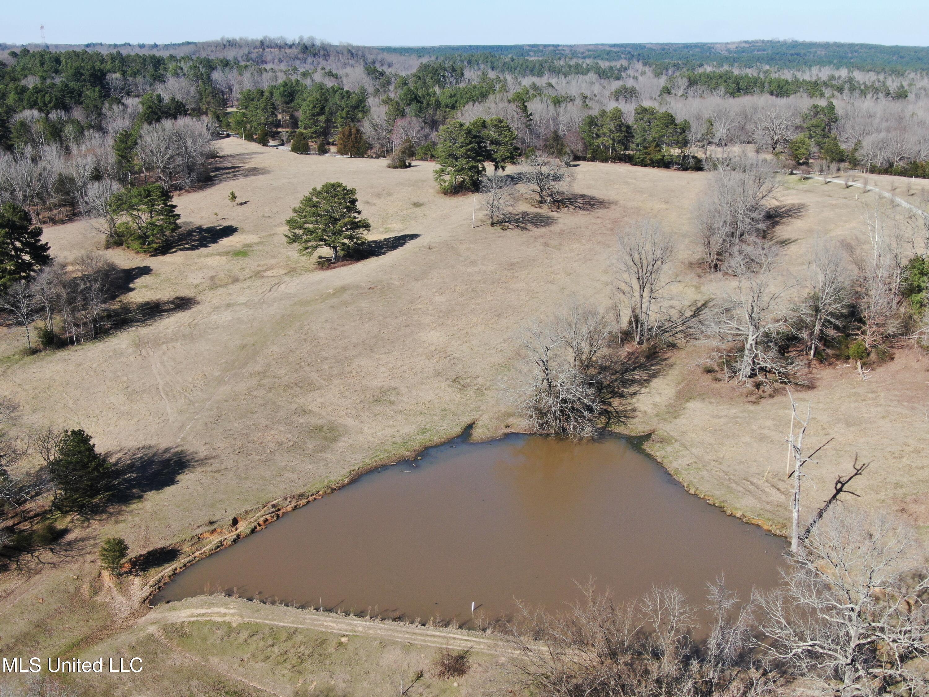 556 Thomas Road, Waterford, Mississippi image 44