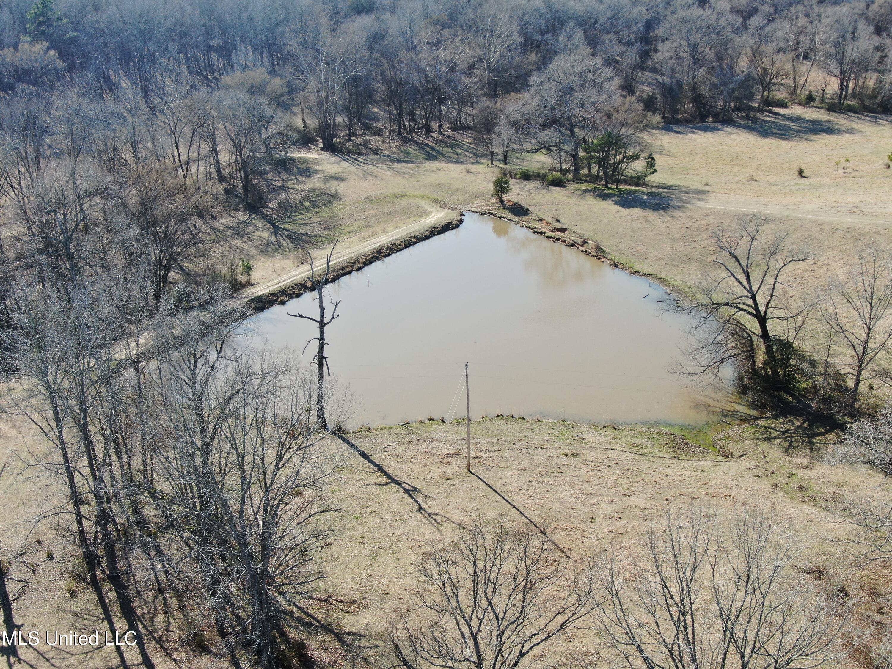 556 Thomas Road, Waterford, Mississippi image 42
