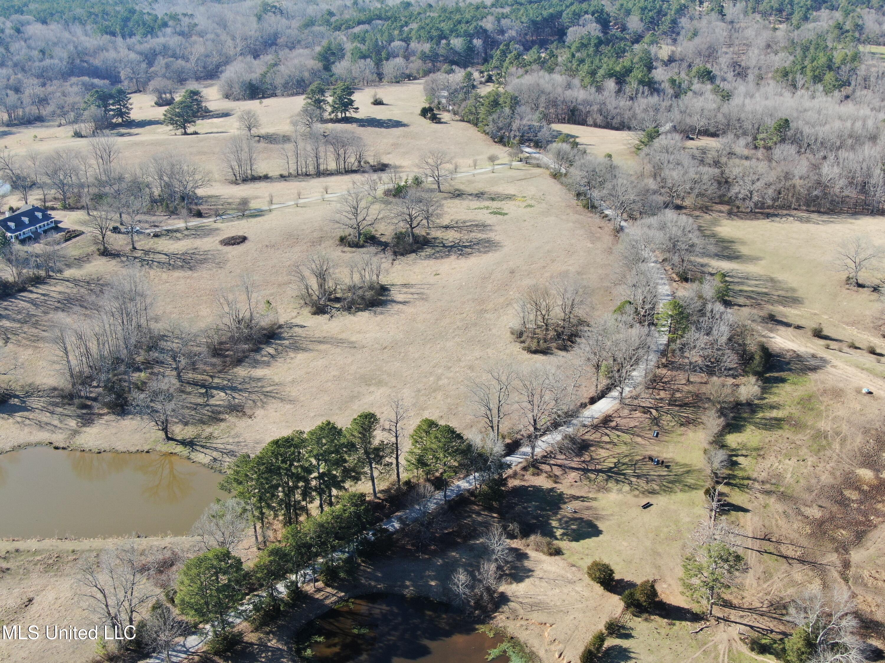 556 Thomas Road, Waterford, Mississippi image 48
