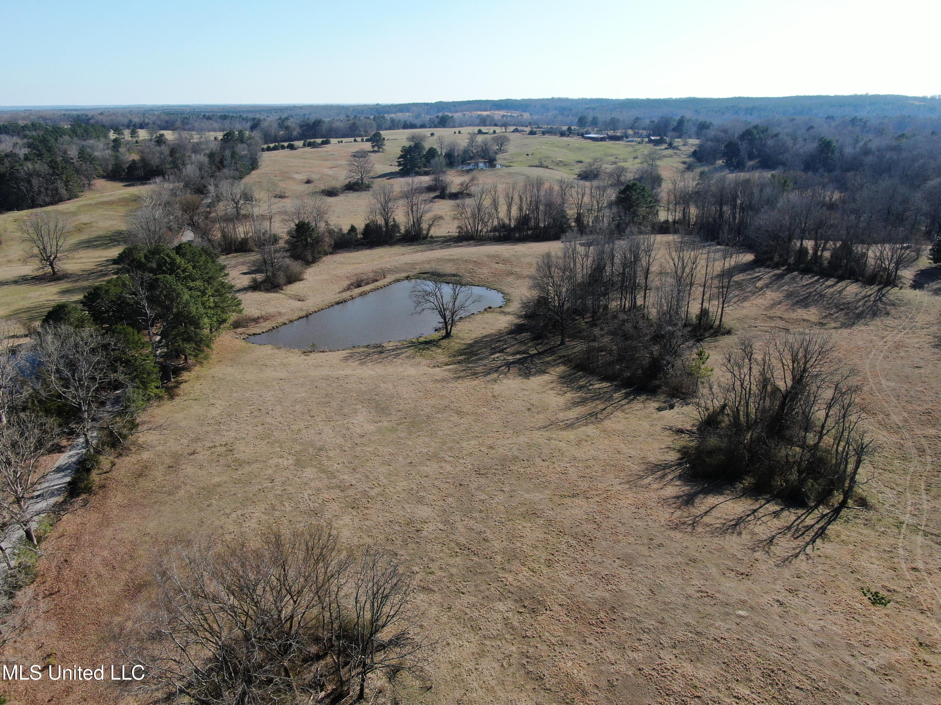 556 Thomas Road, Waterford, Mississippi image 40