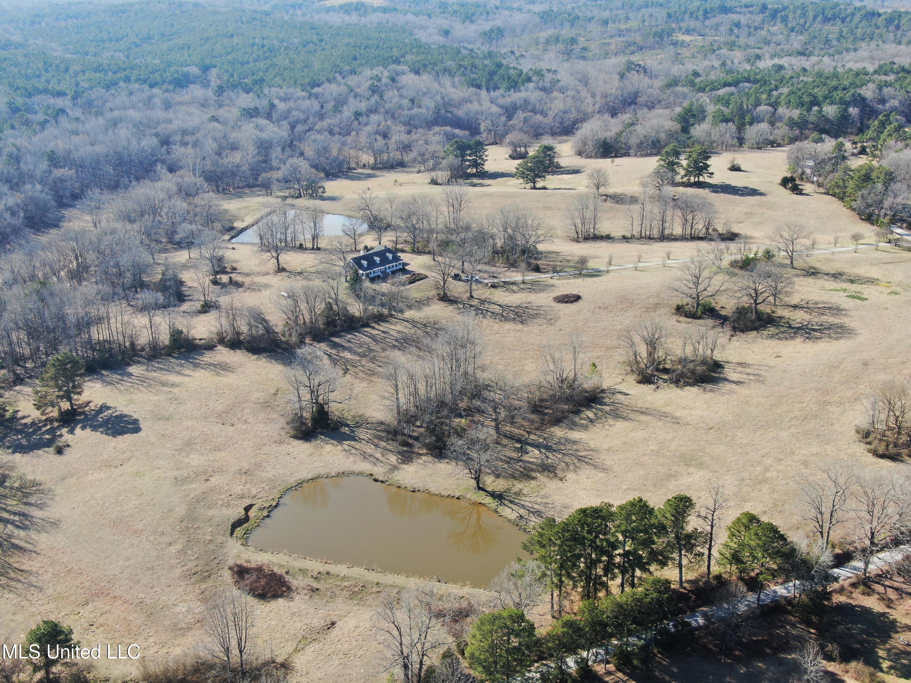 556 Thomas Road, Waterford, Mississippi image 47