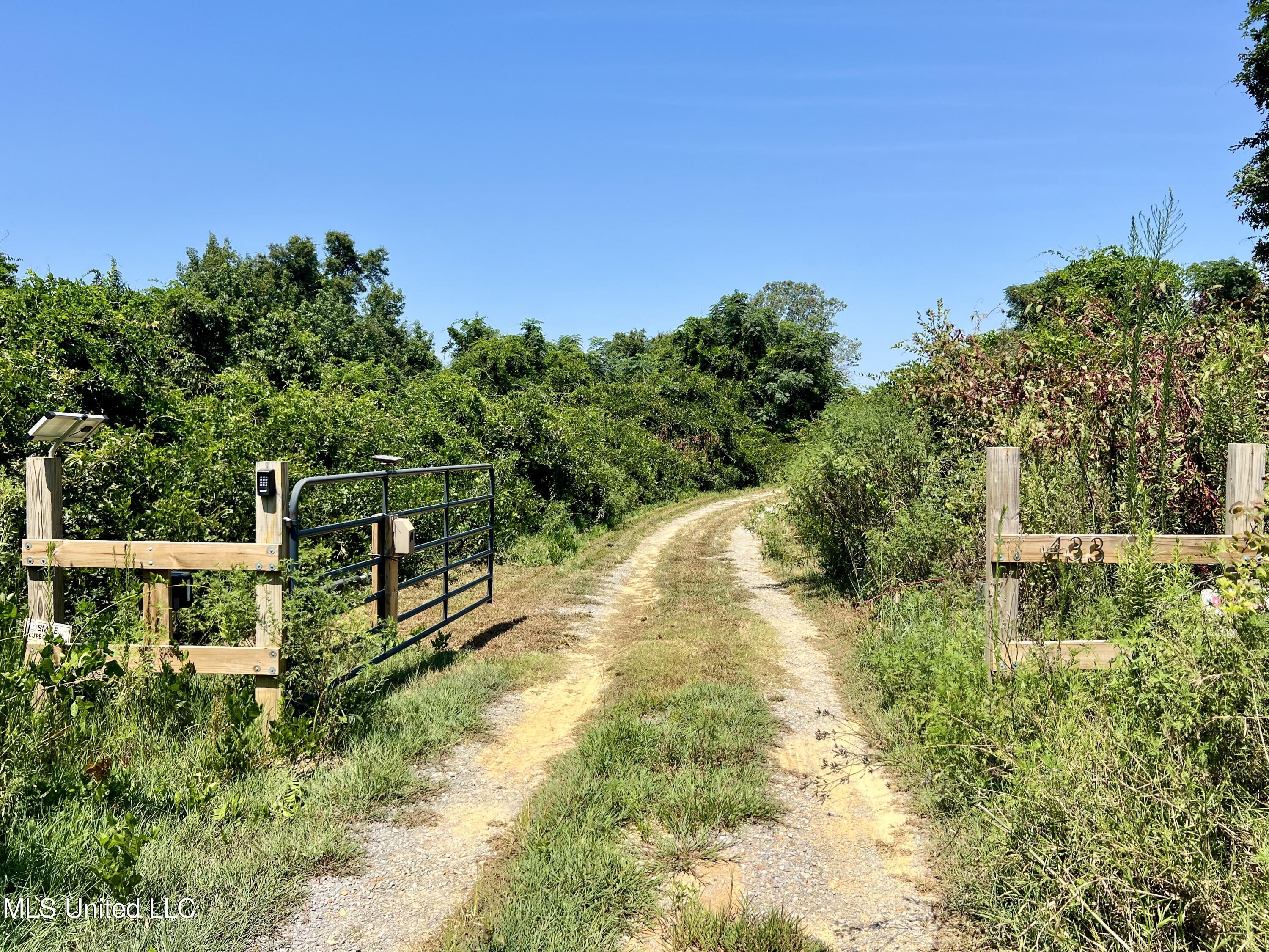 433 Firetower Road, Camden, Mississippi image 2