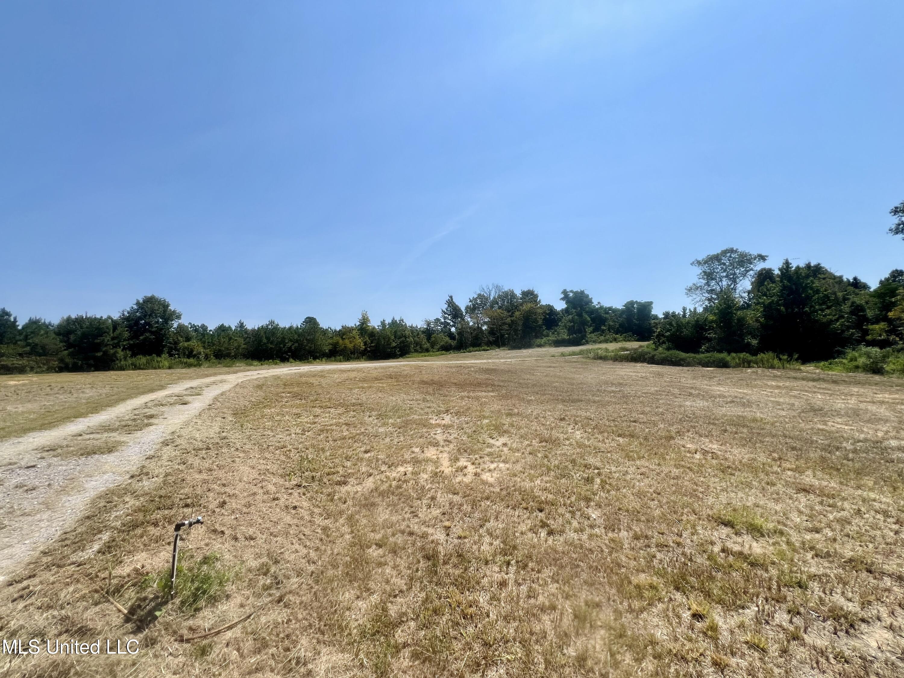 433 Firetower Road, Camden, Mississippi image 7