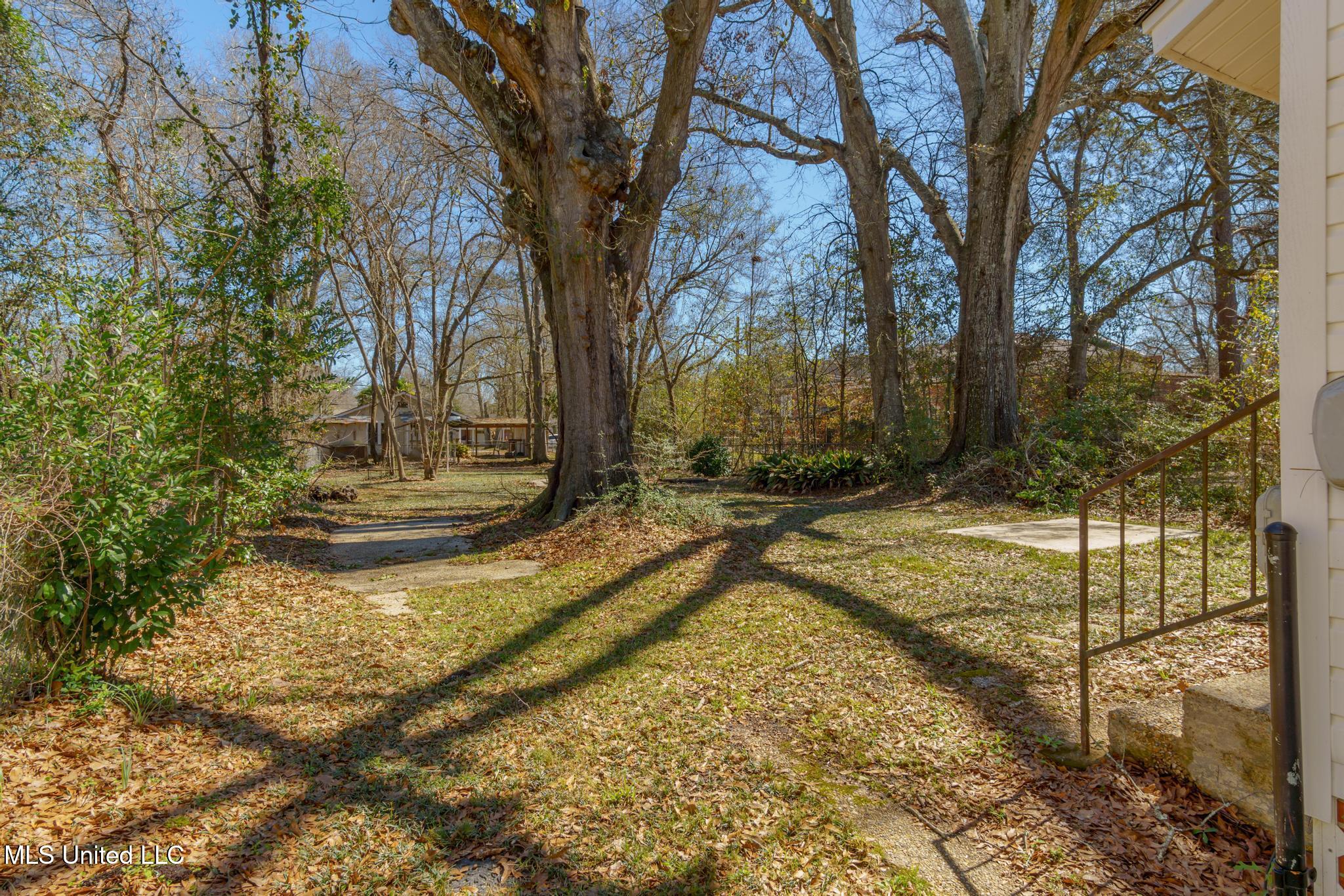 314 S 13th Avenue, Hattiesburg, Mississippi image 15