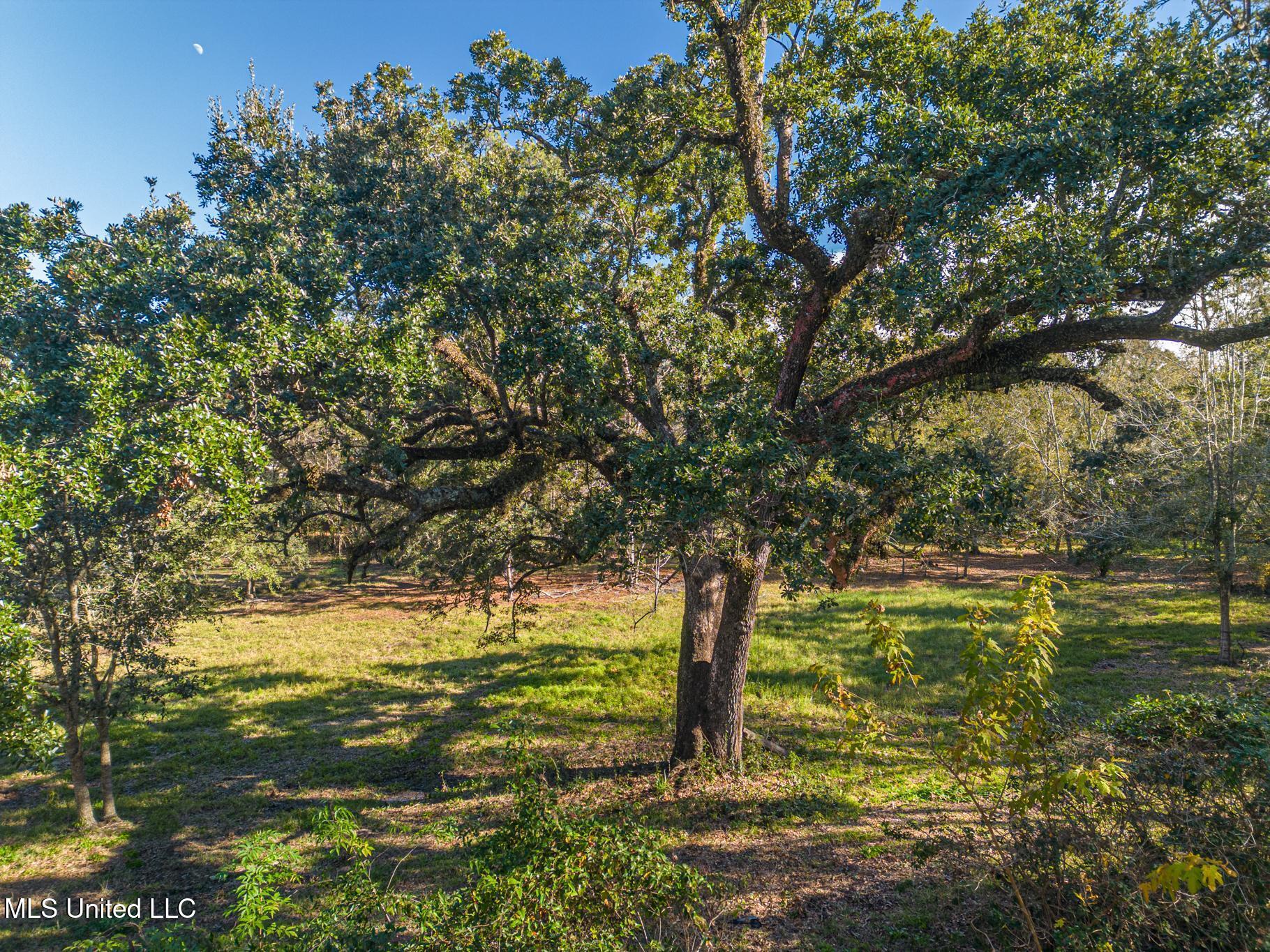 1017 Courthouse Road, Gulfport, Mississippi image 7