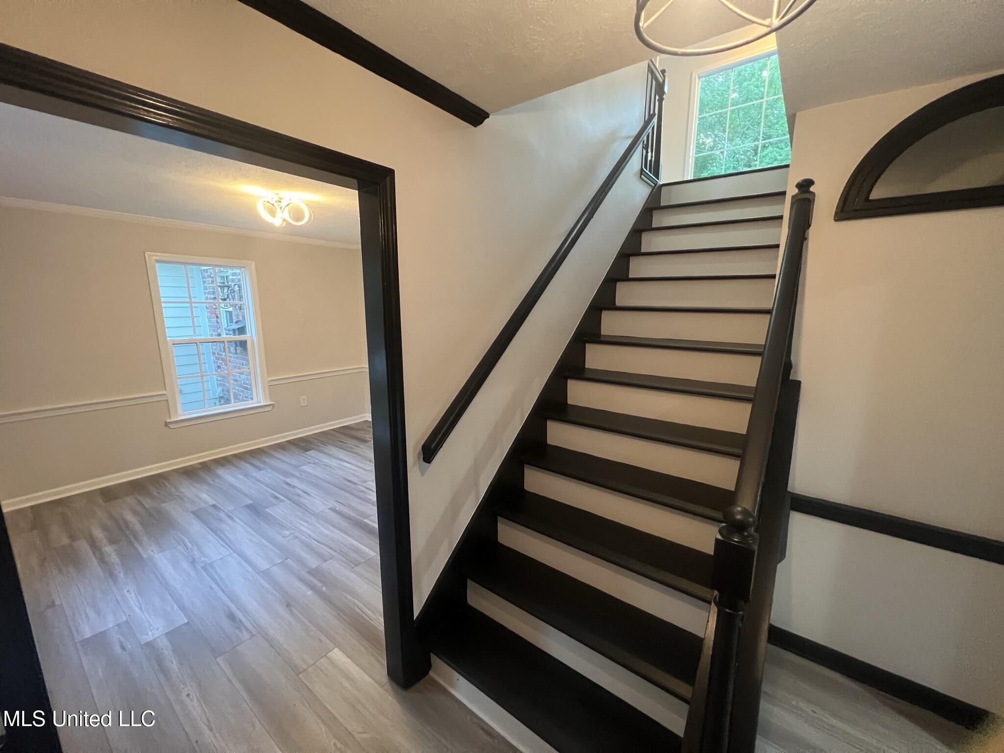 767 Sherwood Drive, Jackson, Mississippi image 6
