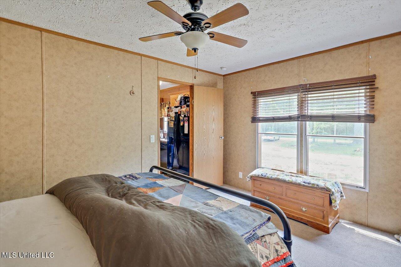126 Haynes Chapel Road, Pelahatchie, Mississippi image 16