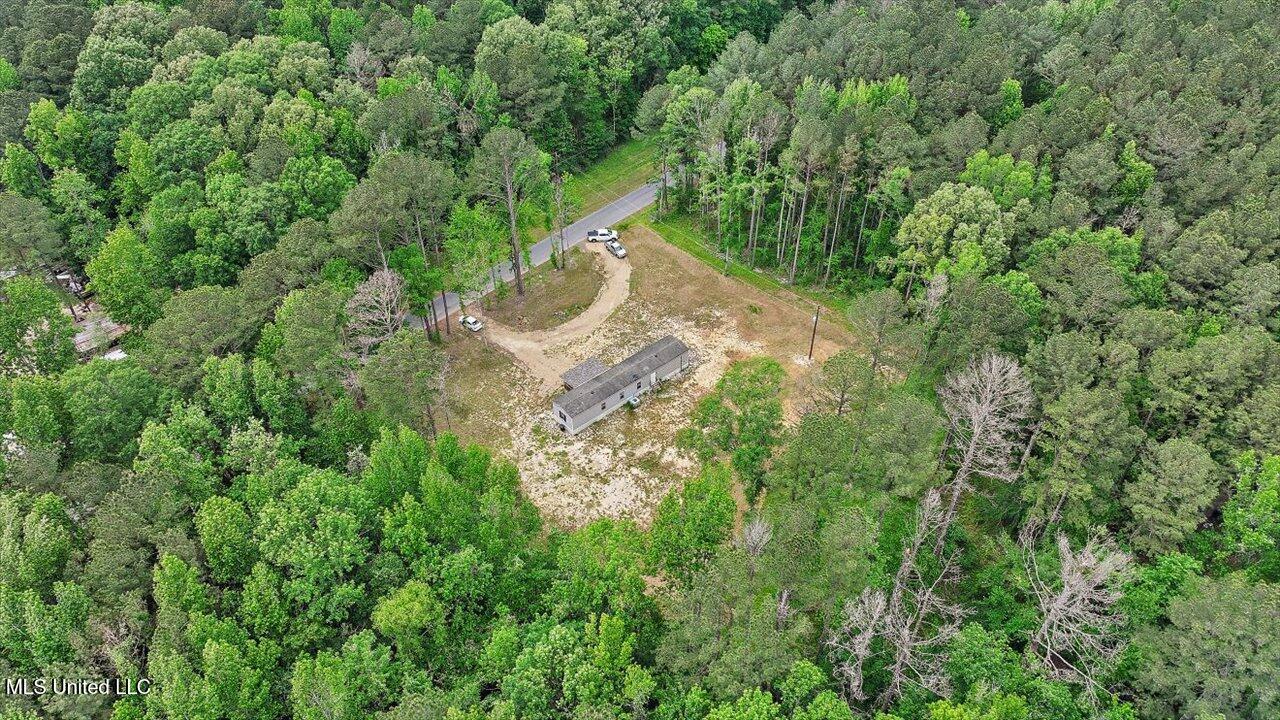 126 Haynes Chapel Road, Pelahatchie, Mississippi image 40