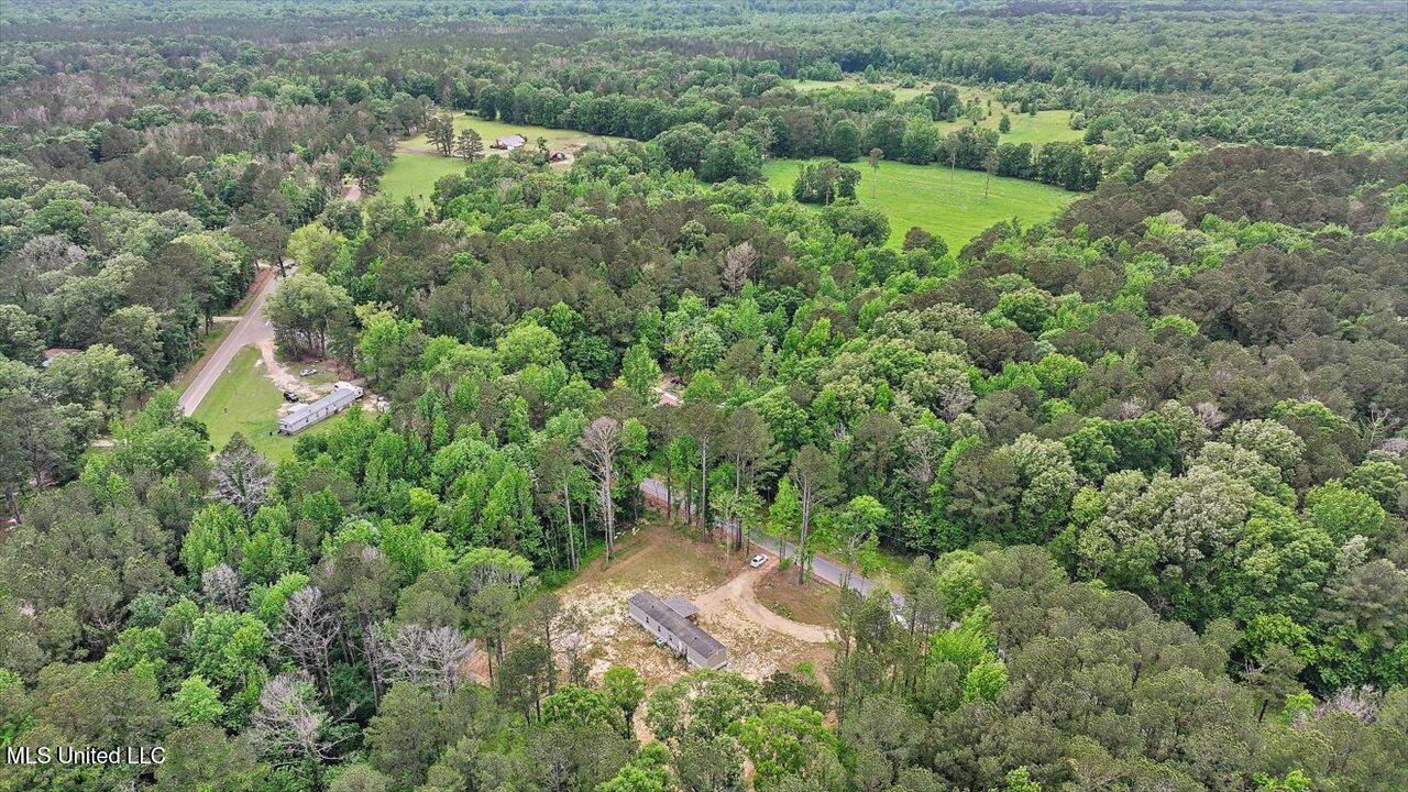 126 Haynes Chapel Road, Pelahatchie, Mississippi image 43