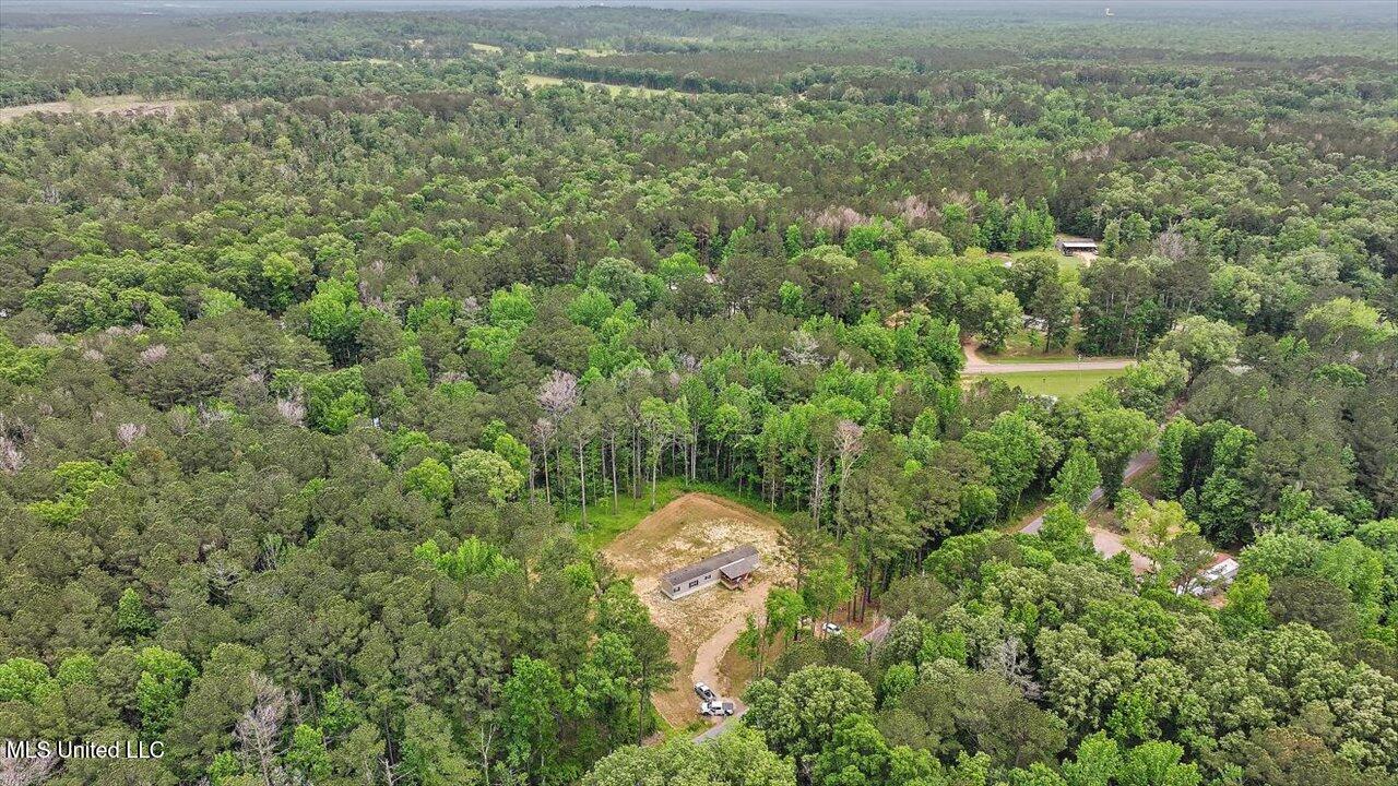 126 Haynes Chapel Road, Pelahatchie, Mississippi image 36