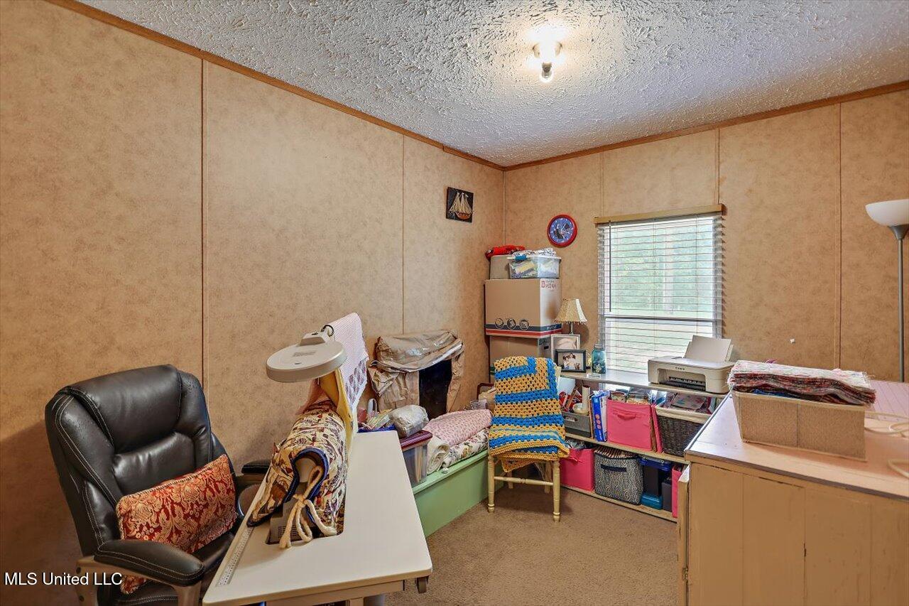 126 Haynes Chapel Road, Pelahatchie, Mississippi image 21