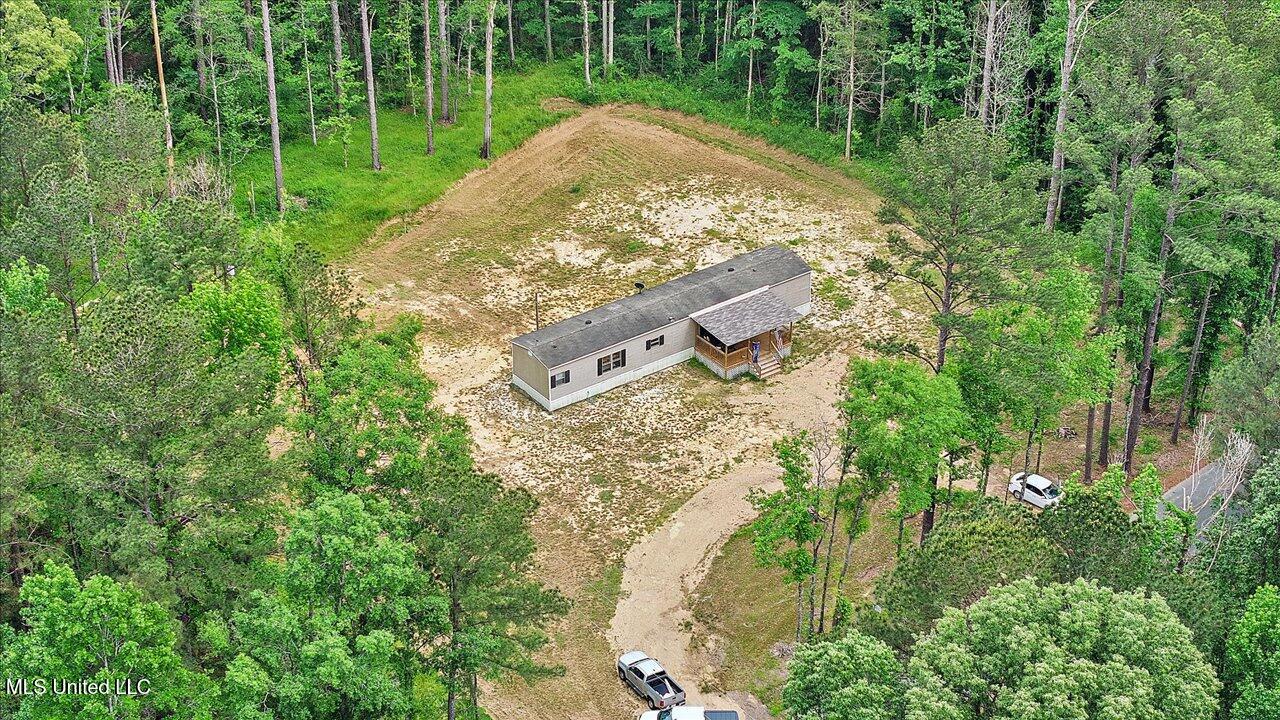126 Haynes Chapel Road, Pelahatchie, Mississippi image 37