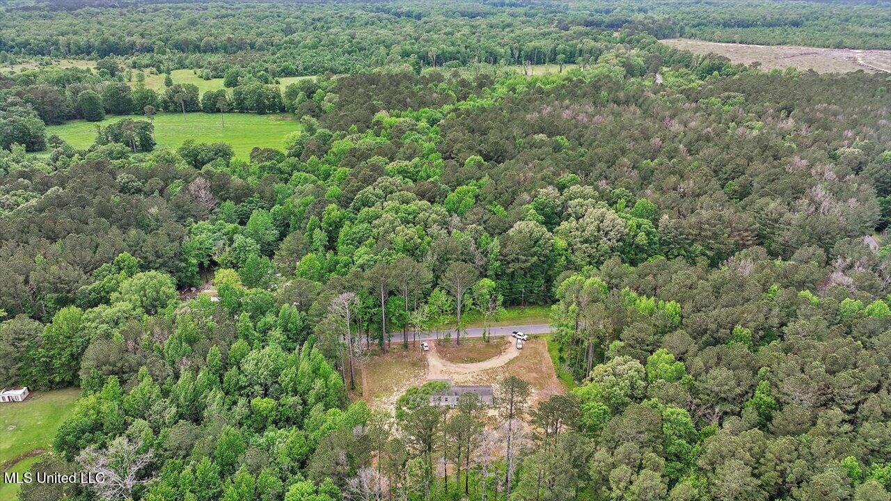 126 Haynes Chapel Road, Pelahatchie, Mississippi image 42